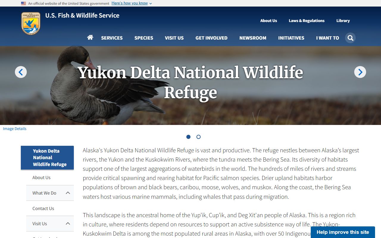 Yukon Delta National Wildlife Refuge in the Kusilvak Census Area, southwestern Alaska